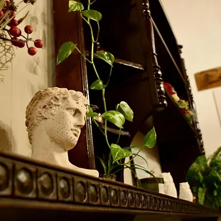 Poliziana San Benedetto Villa *